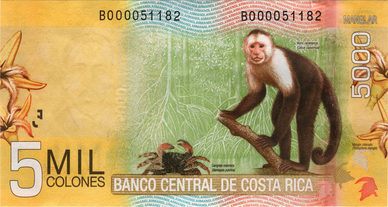 Reverso del billete costarricense de ₡5 000 colones con ilustración de un mono capuchino cariblanco.