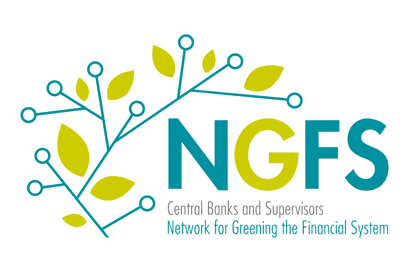 Network for Greening the Financial System (NGFS)