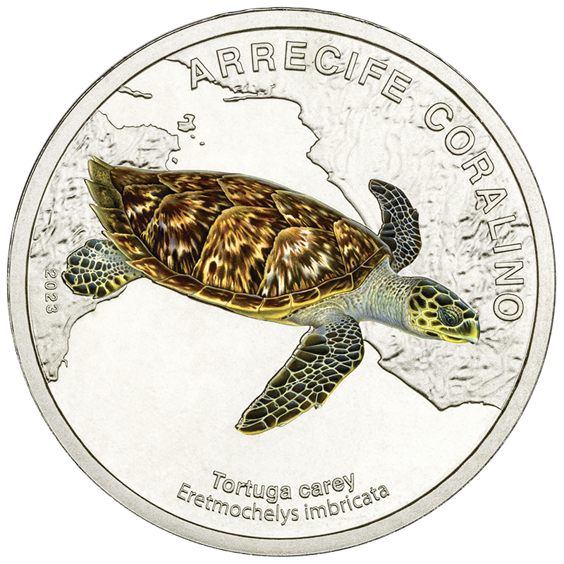 Reverso coleccionable Tortuga Carey