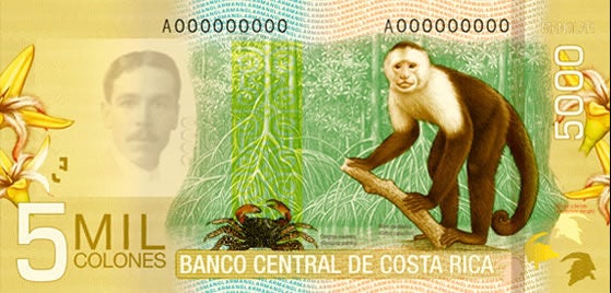 Reverse of the ₡5,000 Costa Rican banknote, featuring a white-faced capuchin monkey in a tropical rainforest, surrounded by flora and fauna that represent the country’s rich biodiversity.