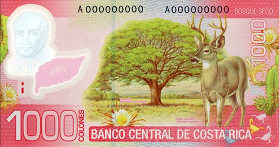 Reverse of the ₡1,000 Costa Rican banknote, featuring a white-tailed deer in front of a characteristic dry forest tree, highlighting the biodiversity of the country's terrestrial ecosystems.