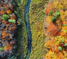 Vista aérea de un río sinuoso rodeado por un frondoso bosque con follaje otoñal en tonos verdes, amarillos, naranjas y rojizos.