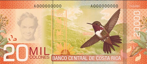 Reverso del billete de ₡20.000 de Costa Rica con la imagen de un colibrí en un paisaje de páramo, representando la biodiversidad de los ecosistemas de altura del país.