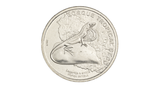 Costa Rican commemorative coin featuring a spiny-tailed anole lizard on a rock, representing the Tropical Dry Forest ecosystem.