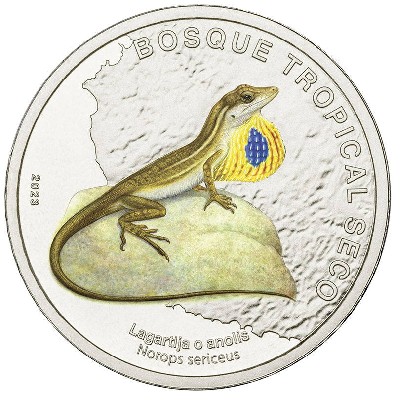 Moneda que representa un lagarto con la bolsa gular extendida, posado sobre una roca. El texto que rodea el borde dice "Bosque Tropical Seco". Se puede ver la fecha "2023".