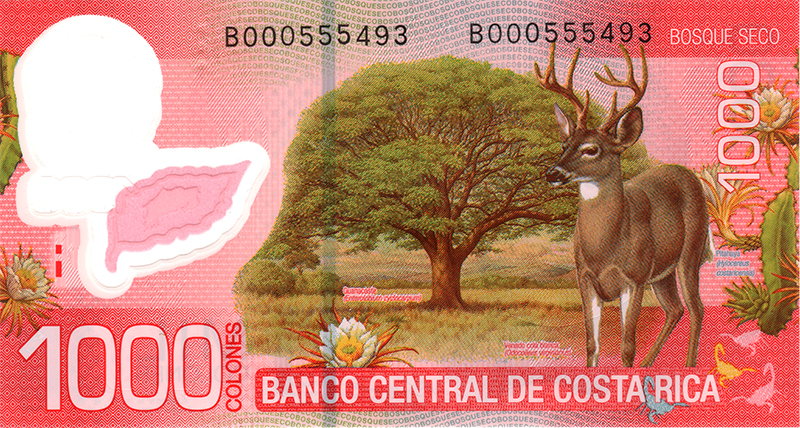 Serie B 1000 Reverso