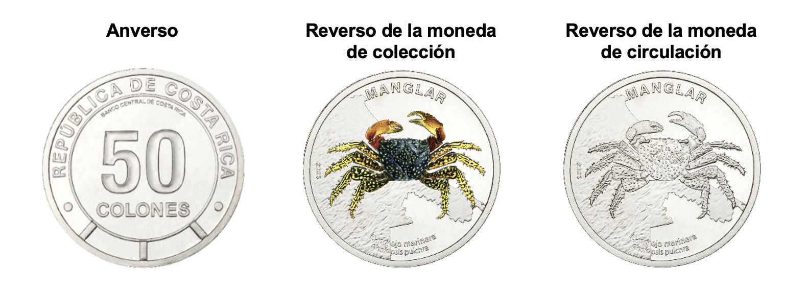 2025-10-20-cangrejo-marinera-1.png